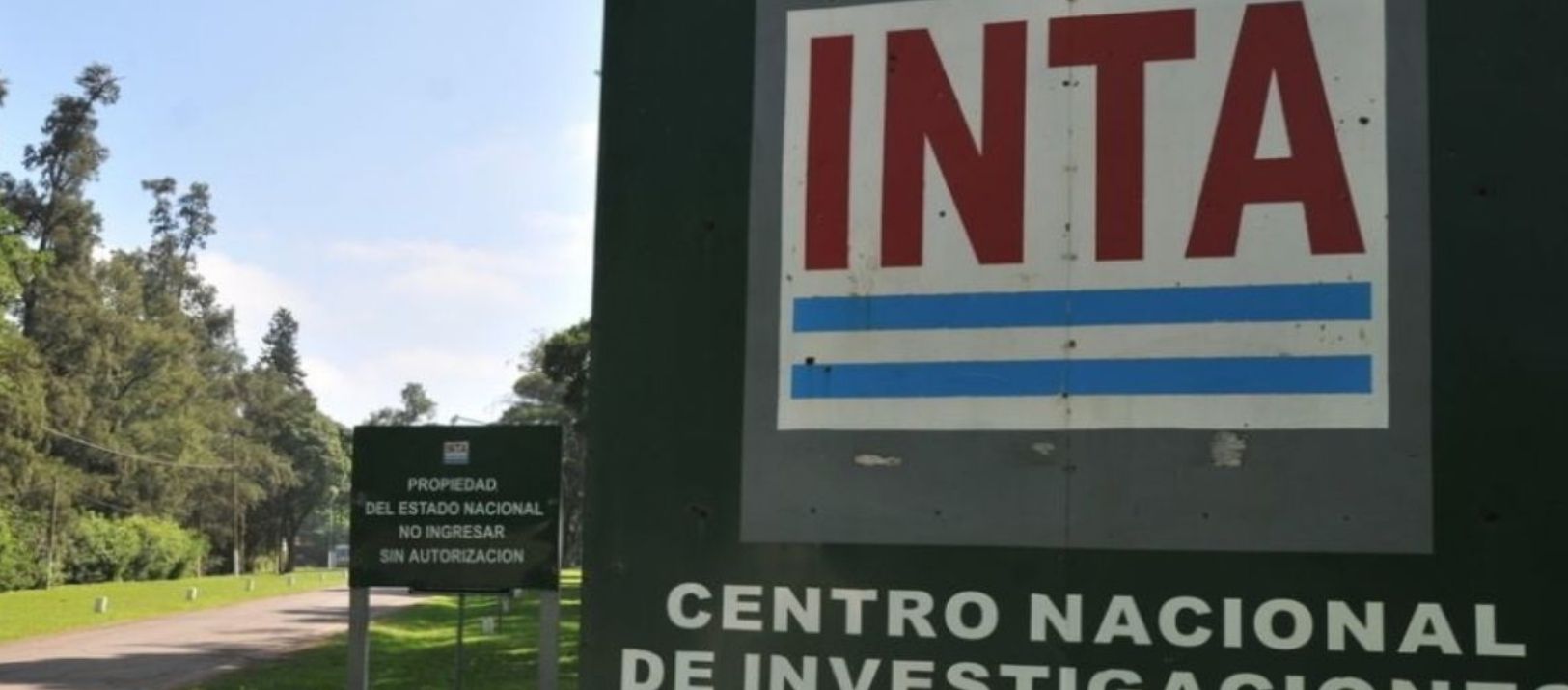 Imagen de la notcia