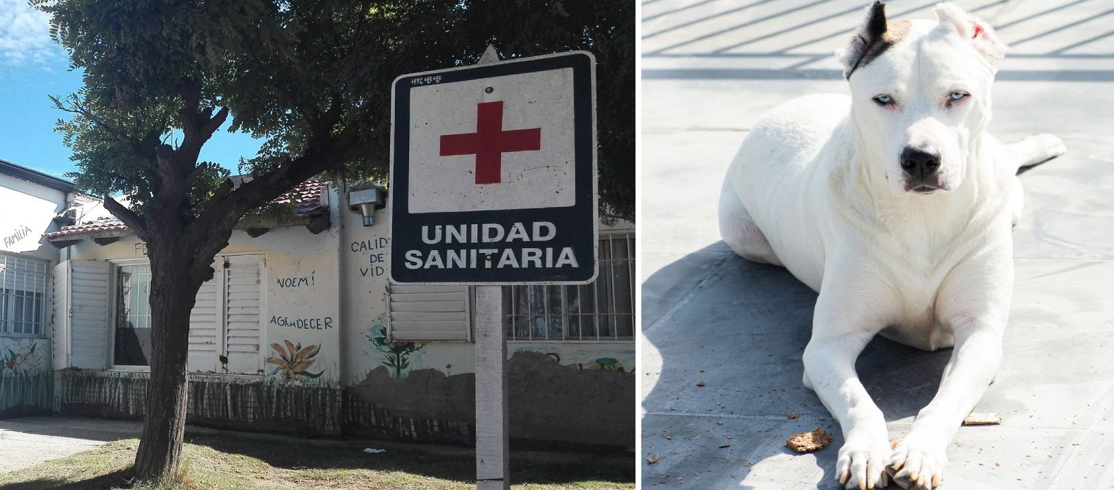 Imagen de la notcia