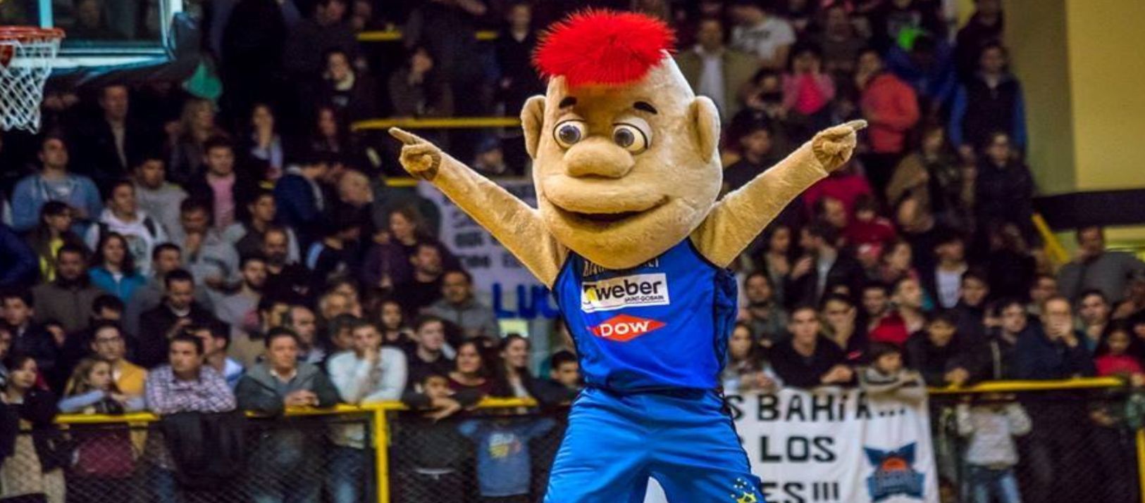 Imagen de la noticia