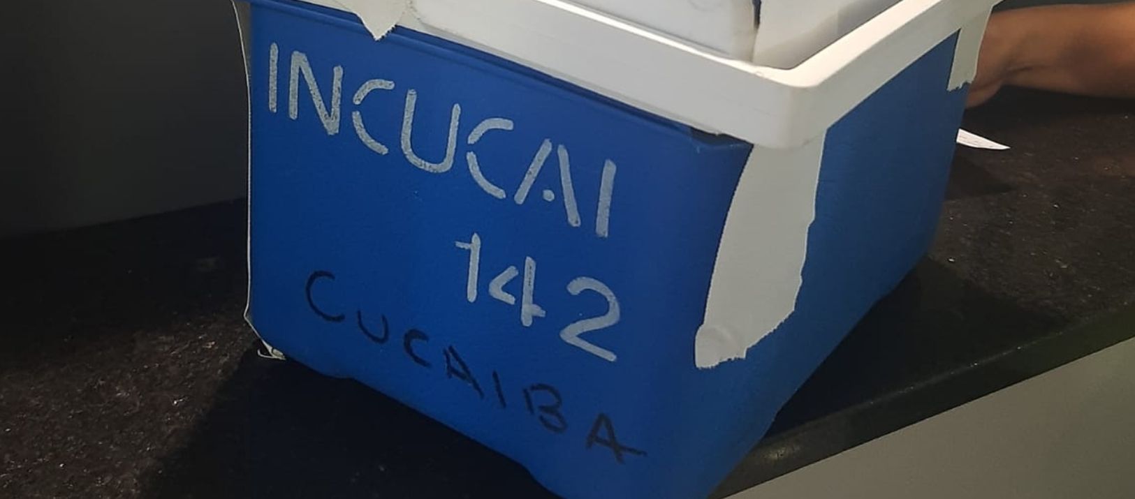 Imagen de la notcia