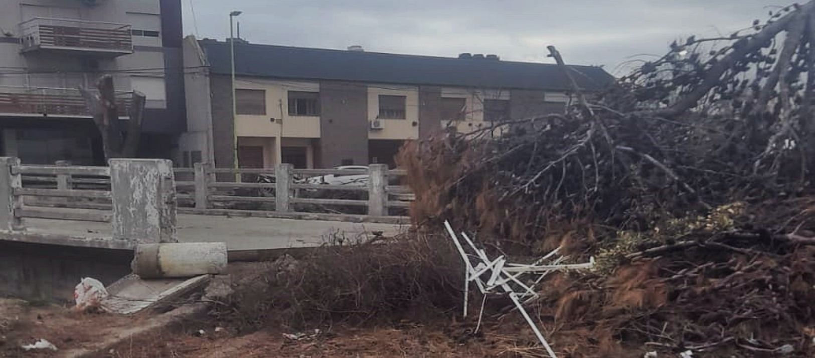Imagen de la noticia: "Está igual que en marzo": insisten con la limpieza del puente de Zapiola